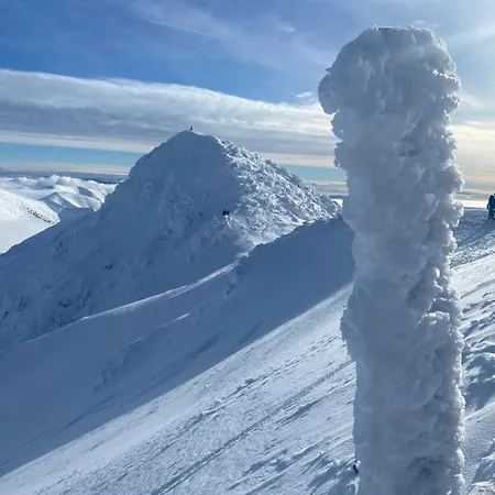 Nina Liptov Dom wakacyjny