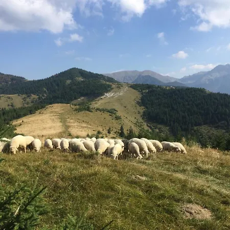 Nina Liptov Dom wakacyjny